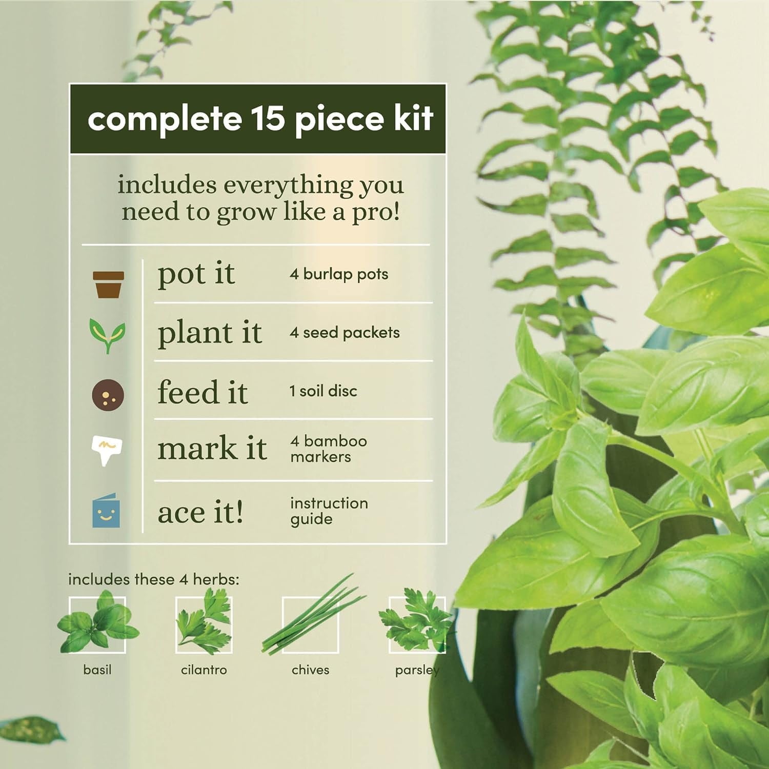 ***Herb Growing Kit