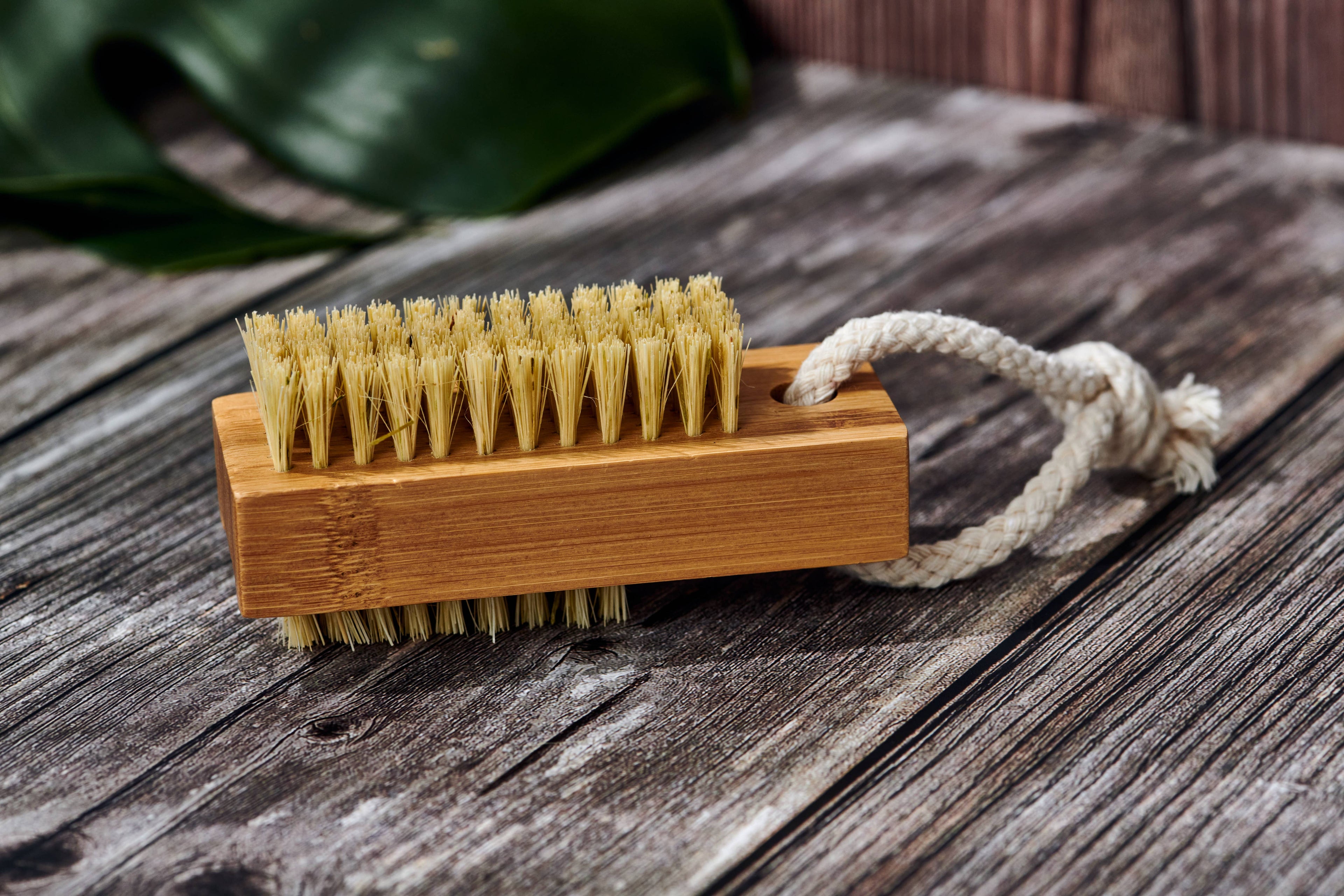 Wood Nail Brush (Plastic Free, Vegan