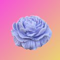 Artisan Organic Rose Soap-on-a-rope