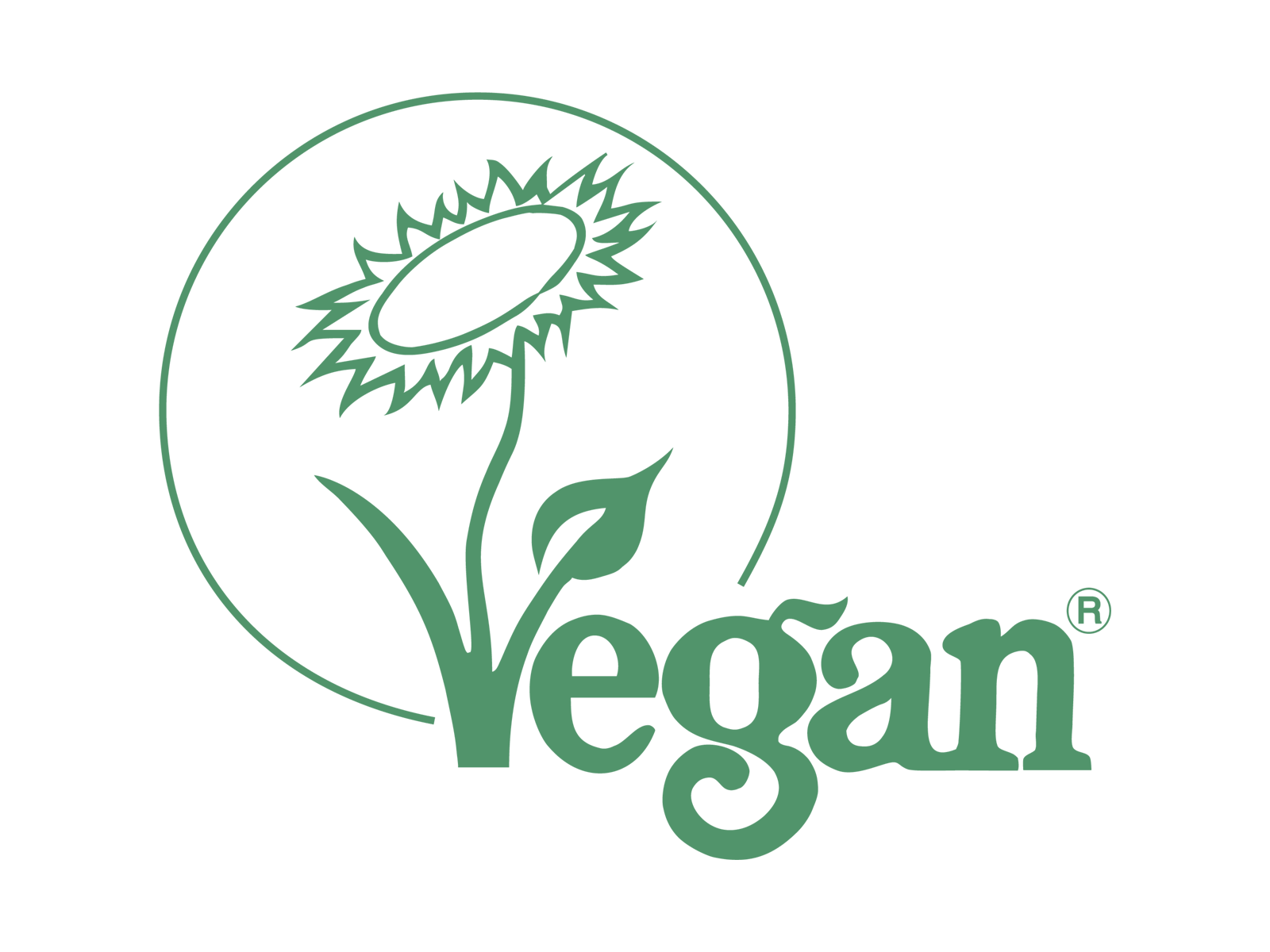 Dog/Pet Grooming Brush - All Natural, Handmade